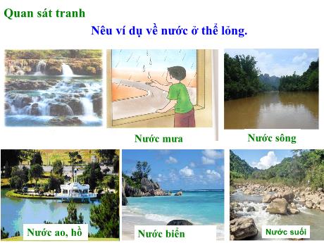 Bài giảng Khoa học Lớp 4 - Bài 21: Ba thể của nước