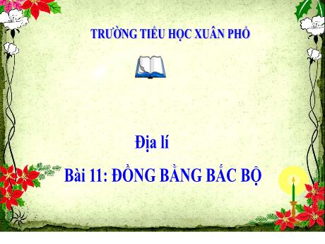 Bài giảng Lịch sử và Địa lí Lớp 4 - Bài 11: Đồng bằng Bắc Bộ - Trường Tiểu học Xuân Phổ