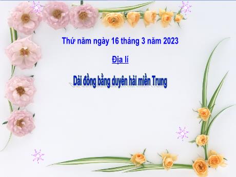 Bài giảng Lịch sử và Địa lí Lớp 4 - Bài 24: Dải đồng bằng duyên hải miền Trung - Năm học 2022-2023
