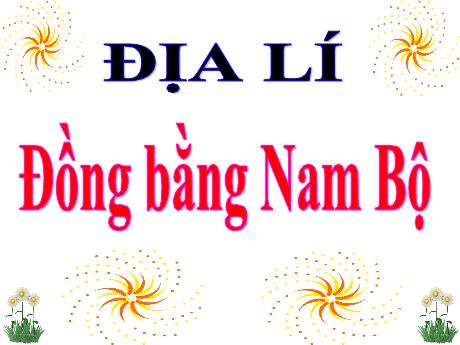 Bài giảng Lịch sử và Địa lí Lớp 4 - Bài: Đồng bằng Nam Bộ