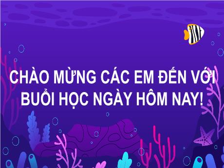Bài giảng Tiếng Việt Lớp 2 (Đọc) - Bài 28: Khám phá đáy biển ở Trường Sa (Tiết 1+2)