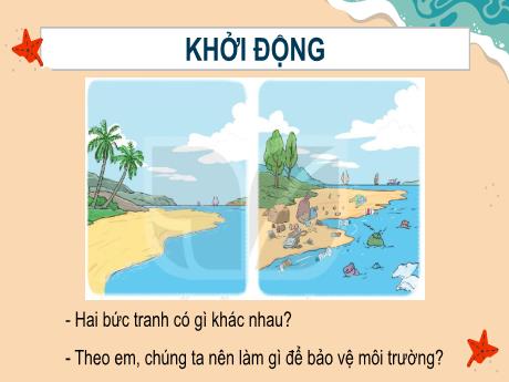 Bài giảng Tiếng Việt Lớp 2 (Đọc) Sách Kết nối tri thức - Bài 15: Những con sao biển (Tiết 1+2)
