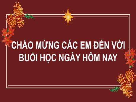 Bài giảng Tiếng Việt Lớp 2 (Đọc) Sách Kết nối tri thức - Bài 27: Mẹ (Tiết 1+2) - Năm học 2023-2024