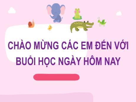 Bài giảng Tiếng Việt Lớp 2 (Nghe - Viết) Sách Kết nối tri thức - Bài 24: Chiếc rễ đa tròn (Tiết 3) - Năm học 2024-2025