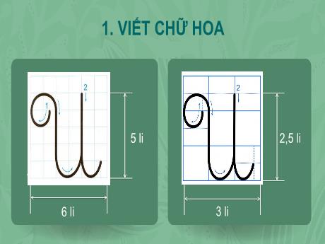 Bài giảng Tiếng Việt Lớp 2 (Viết) Sách Kết nối tri thức - Bài 9: Vè chim (Tiết 3) - Năm học 2024-2025