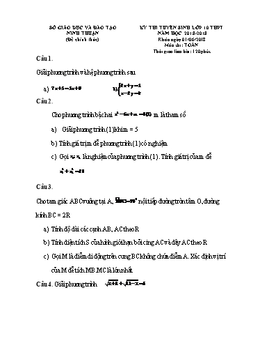 Đề thi tuyển sinh vào lớp 10 môn Toán - Ninh Thuận (2018-2019) (Có đáp án)