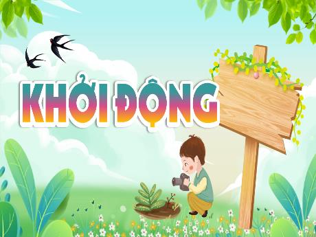 Bài giảng Khoa học 4 - Bài 29: Chuỗi thức ăn trong tự nhiên