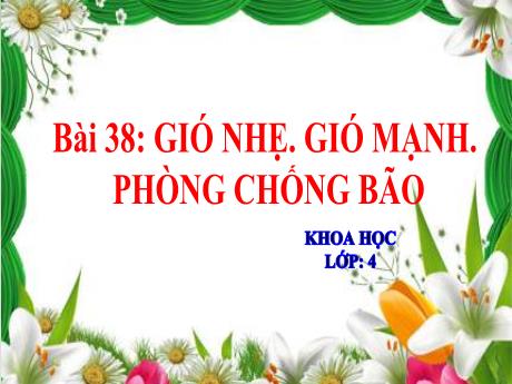 Bài giảng Khoa học 4 - Bài 38: Gió nhẹ, gió mạnh. Phòng chống bão