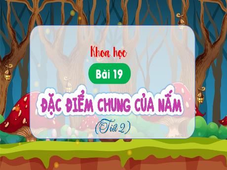 Bài giảng Khoa học Lớp 4 - Bài 19: Đặc điểm chung của nấm (Tiết 2)
