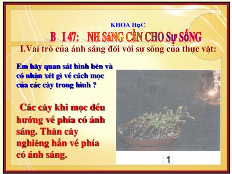 Bài giảng Khoa học Lớp 4 - Bài 47: Ánh sáng cần cho sự sống