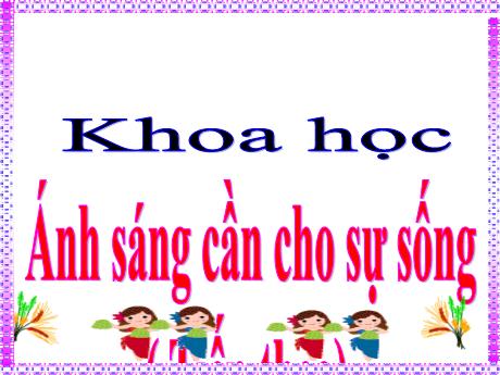 Bài giảng Khoa học Lớp 4 - Bài 48: Ánh sáng cần cho sự sống (Tiếp theo)