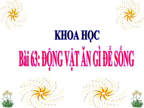 Bài giảng Khoa học Lớp 4 - Bài 63: Động vật ăn gì để sống
