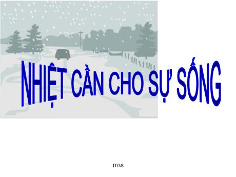 Bài giảng Khoa học Lớp 4 - Bài: Nhiệt cần cho sự sống
