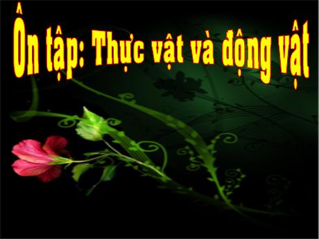 Bài giảng Khoa học Lớp 4 - Bài: Ôn tập Thực vật và động vật