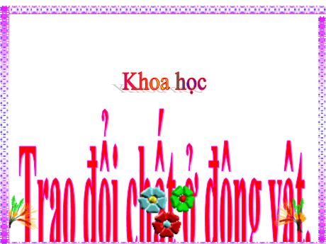 Bài giảng Khoa học Lớp 4 - Bài: Trao đổi chất ở động vật