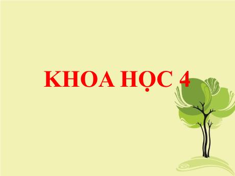 Bài giảng môn Khoa học Lớp 4 - Bài 47: Ánh sáng cần cho sự sống