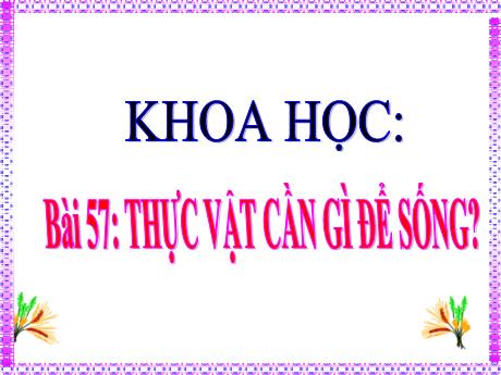Bài giảng môn Khoa học Lớp 4 - Bài 57: Thực vật cần gì để sống - Năm học 2021-2022