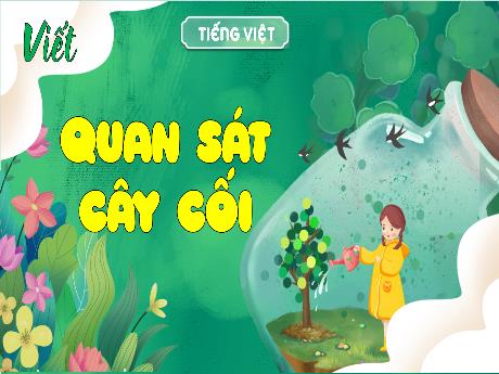 Bài giảng Tiếng Việt Lớp 4 (Viết) - Bài: Quan sát cây cối