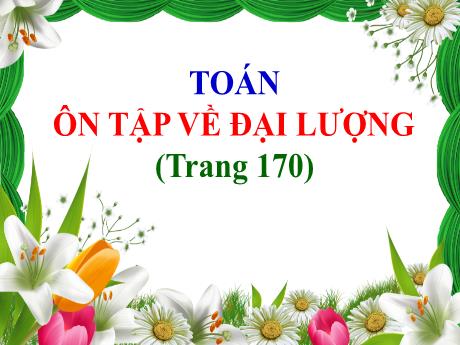 Bài giảng Toán Lớp 4 - Bài: Ôn tập về đại lượng (Trang 170)